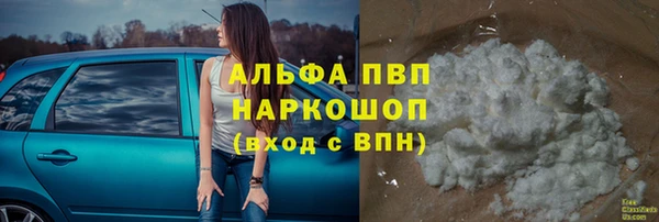 стаф Каменногорск