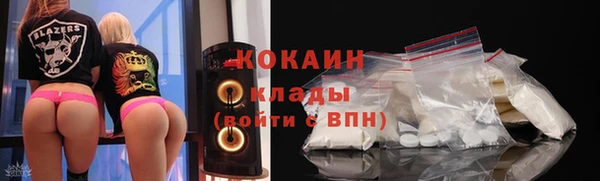 соль ск Алексин